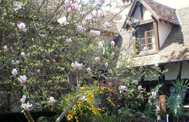 L'Auberge Du Faisan Dore Saint-Florent-le-Jeune Exteriér fotografie
